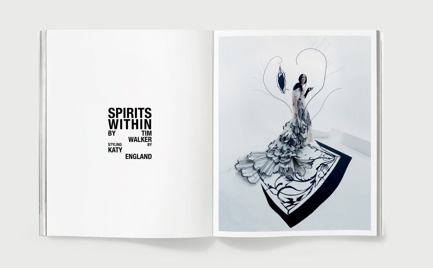 アート・デザイン・音楽 TIM WALKER PICTURES アート・デザイン・音楽 Tim Walker Pictures Tim Walker