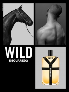 dsquared2 wild parfum