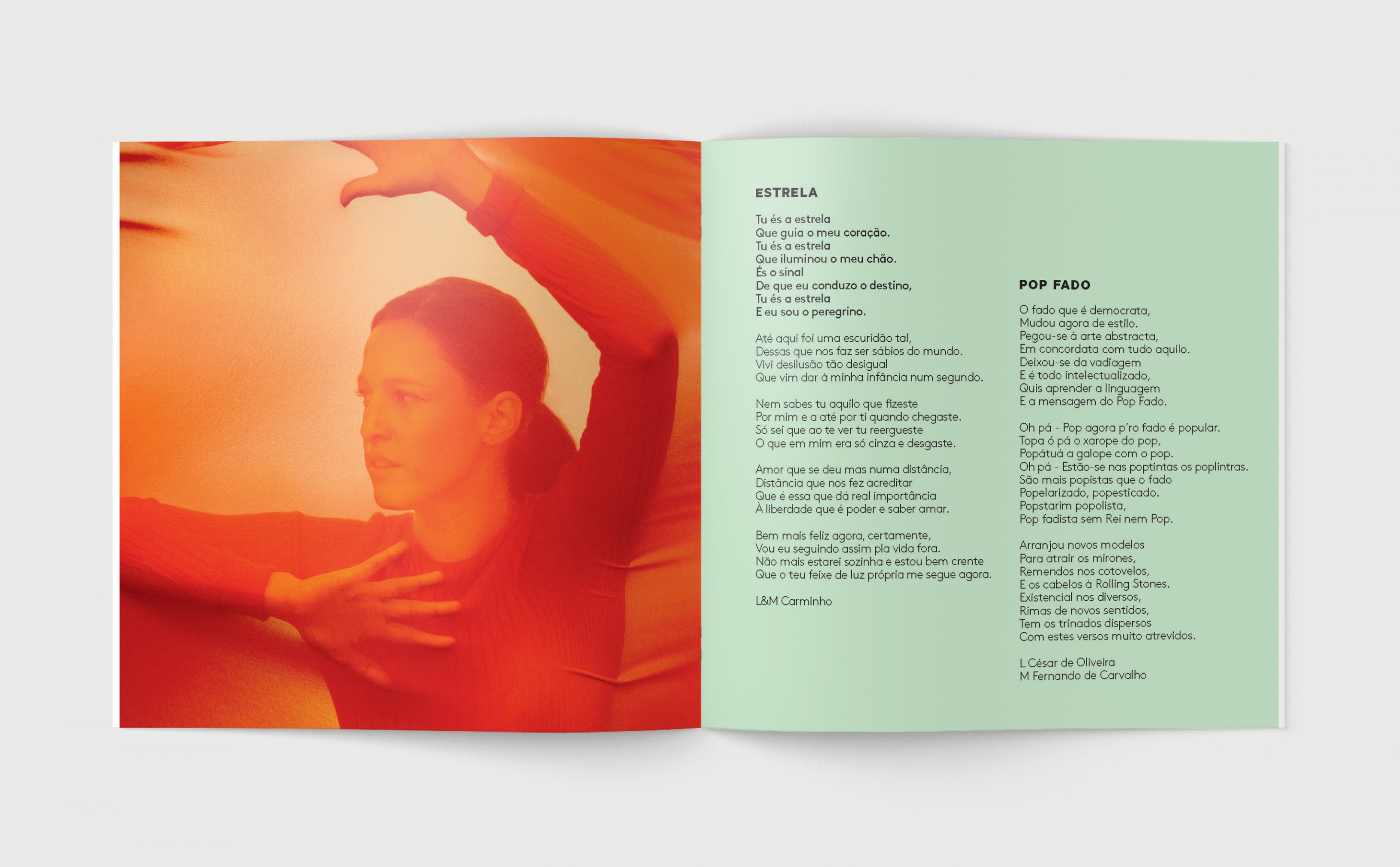 002: PEDRA E MONSTRO - by Érico Assis - VIRAPÁGINA, image size:2880x1784